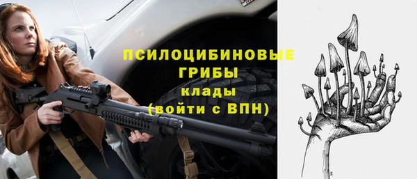 тгк Михайловск