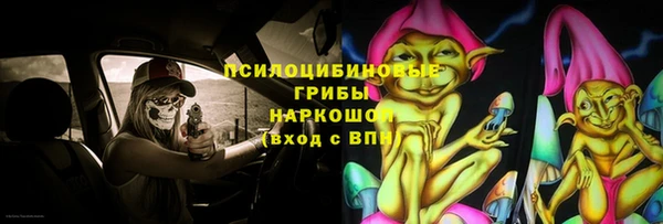 тгк Михайловск