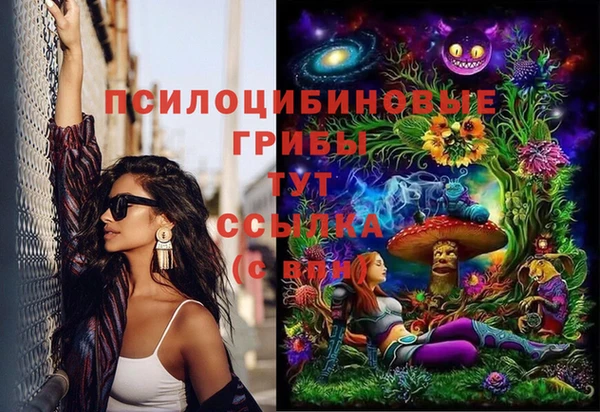 стафф Михайловка
