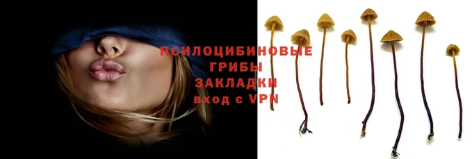 стафф Михайловка