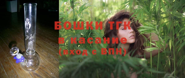 сатива Михайлов