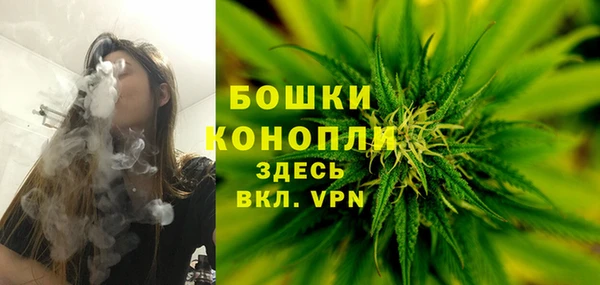 MESCALINE Надым